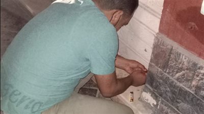 تحرير 78 محضر عدم ارتداء كمامة وغلق 6 مقاهي بالبحيرة