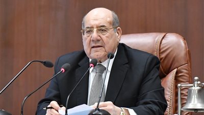 رئيس مجلس الشيوخ: لا ندّعي الكمال.. ونعترف بوجود إيجابيات وسلبيات