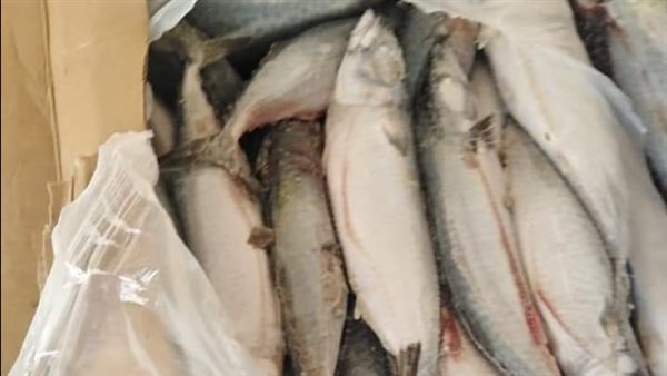 أسماك فاسدة