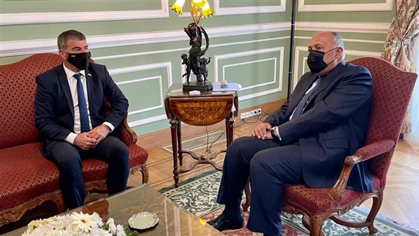 وزير الخارجية ونظيره