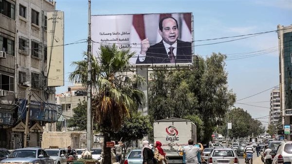 صور الرئيس عبد الفتاح