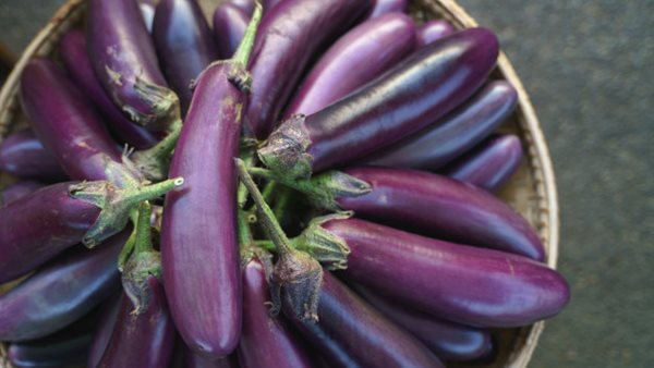 خضار الباذنجان