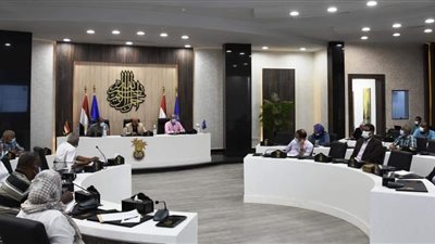 محافظ أسوان: حياة كريمة تخدم 31 قرية رئيسية و103 قرى فرعية  