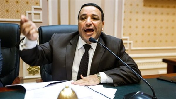 عضو مجلس النواب-