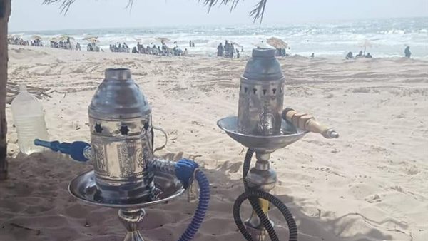 ضبط شيش بشواطئ بالإسكندرية