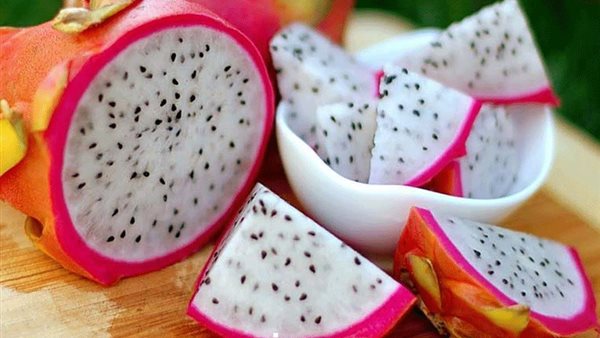 dragon fruit