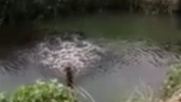 إلقاء مخلفات سيارة