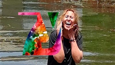  أمن إرشاد قناة السويس ينجح في إقناع فتاة بالخروج من ترعة الإسماعيلية بعد محاولة انتحار