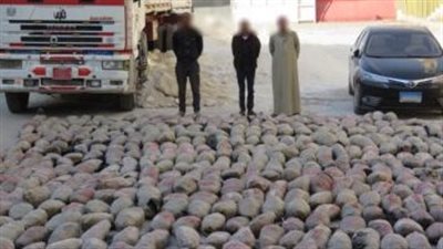 مخبأة في حمولة 