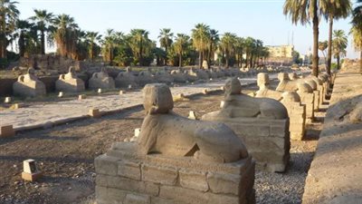 قبل افتتاحه.. نكشف التفاصيل الكاملة لمشروع ترميم طريق الكباش بالأقصر 