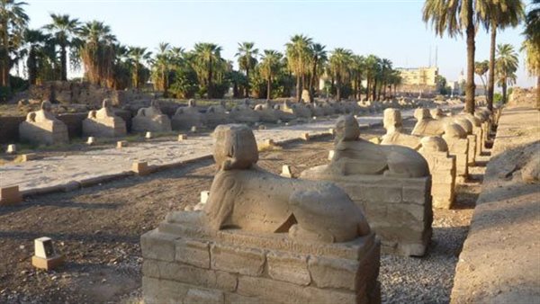 طريق الكباش