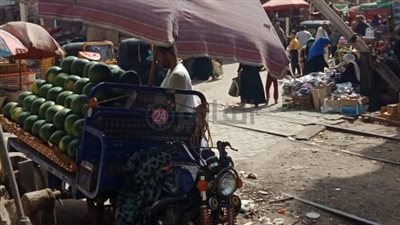 كارثة منتظرة.. سوق عشوائي أعلى قضبان السكة الحديد بالقليوبية (صور وفيديو)