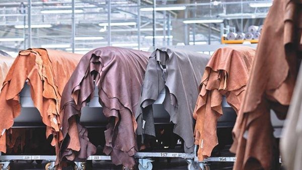 صناعة الجلود 