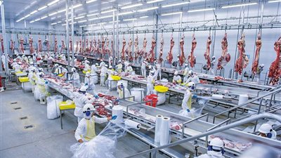 القبض على مالك مصنع إنتاج مواد غذائية رديئة بالجيزة