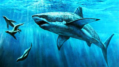 تضارب بين قوانين 