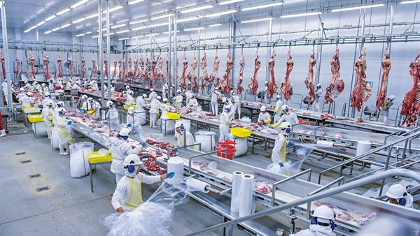 مصنع لحوم - أرشيفية