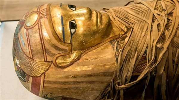 مقتنيات متحف مطار