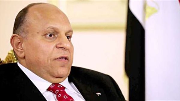 هاني محمود مستشار