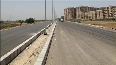 رفع كفاءة حدائق مدينة كفر الشيخ وزراعة أعمدة الإنارة بمحور سعد زغلول