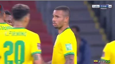 البرازيل تفوز على الإكوادور بثنائية في تصفيات كأس العالم