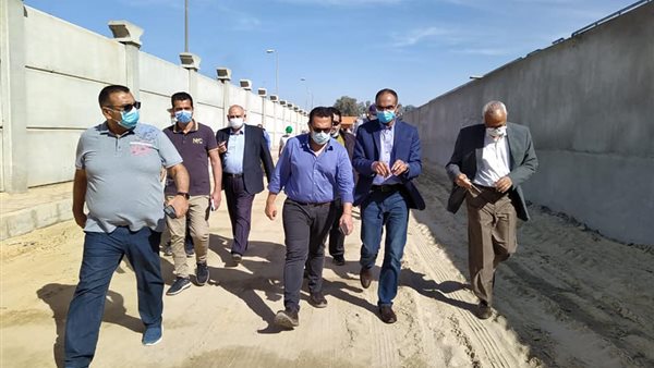 الدكتور سيد إسماعيل