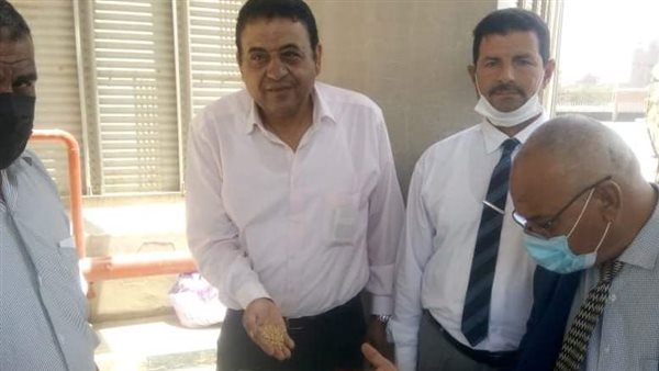 زراعة المنوفية 