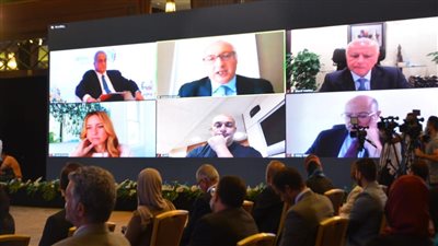  خبيران مصريان في الخارج يُشيدان بالمناخ السياسي المحيط بالاستثمار في مصر