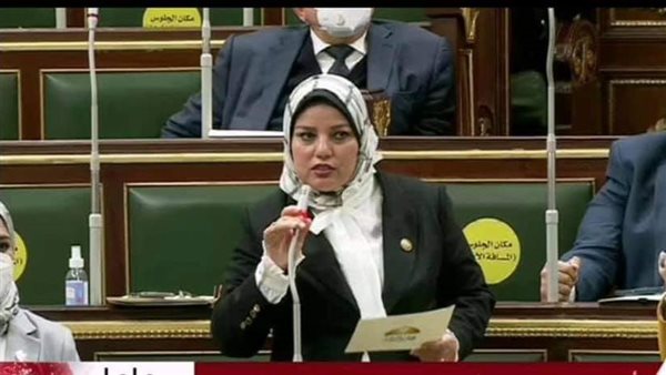 النائبة سلمي مراد