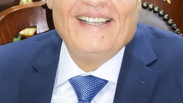 محافظ المنيا