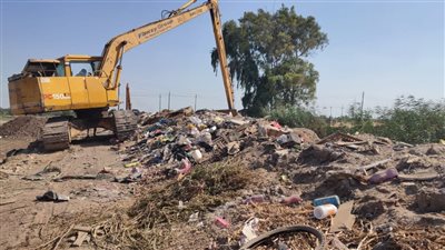 لجنة طبية وتنفيذية تطهر مكان العثور على الحمير المذبوحة بالمنوفية (صور) 