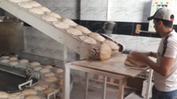 مخبر بالإسكندرية