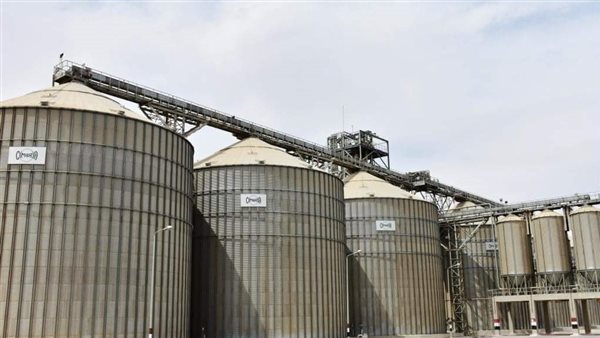 توريد القمح - ارشيفية