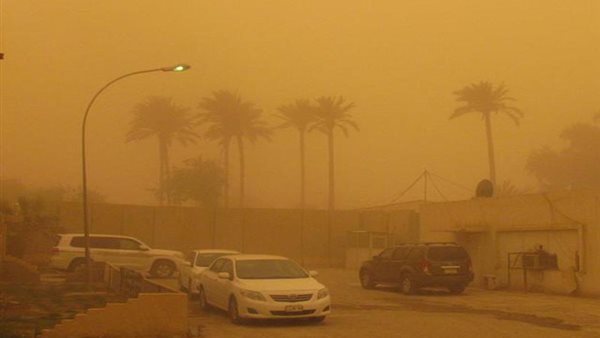 قيادة السيارات في