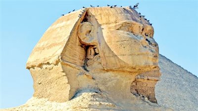 مصدر بالآثار: الوزارة وافقت على جهاز طارد للحمام من المواقع الأثرية (خاص)