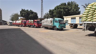  توريد 148 ألف طن قمح للشون والصوامع بأسيوط خلال الموسم 