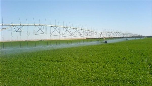 مشروع غرب المنيا-أرشيفية