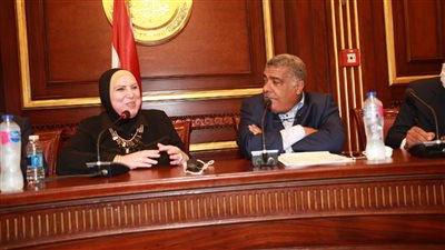 وزيرة الصناعة ترسل لجنة لبحث مشكلات 308 مصانع وتقنين أوضاعها بالجيزة