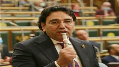 برلماني يتقدم بمشروع قانون لحماية حقوق المصريين في الخارج