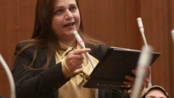  النائبة هيام فاروق