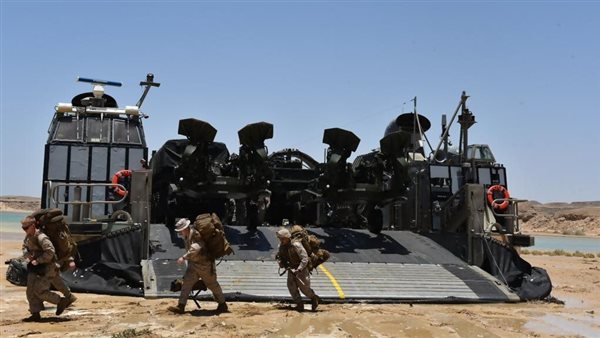 مخالب الصقر 4