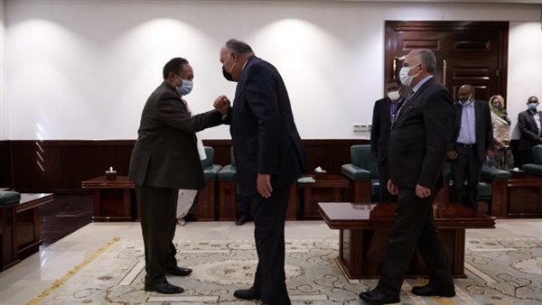 وزيرا الخارجية والري