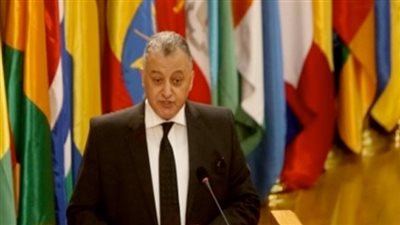 نائب رئيس المحكمة الدستورية: 40 دولة تشارك في اجتماع القاهرة الخامس