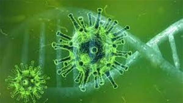 فيروس هانتا