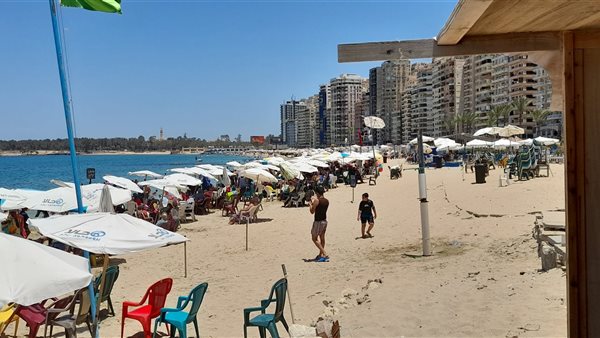 شواطئ الإسكندرية