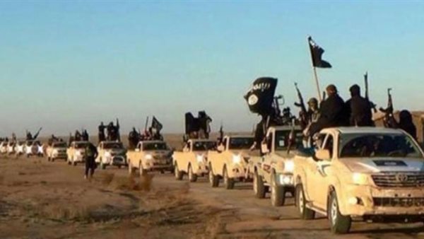 خلية ولاية سيناء