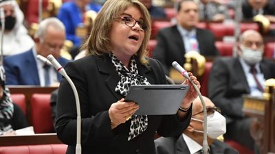 وكيل مجلس الشيوخ: تعديل بعض أحكام قانون البيئة يتماشى مع استراتيجية مواجهة التغيرات المناخية