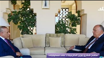 لا تهاون في حق مصر.. أبرز تصريحات وزير الخارجية خلال حواره مع الإعلامي أحمد موسى
