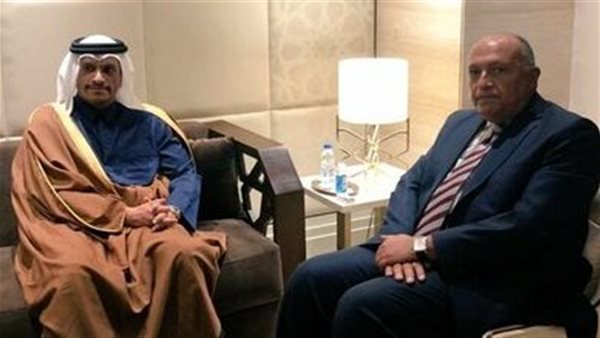 سامح شكري- وزير خارجية