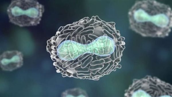 جدري القرود