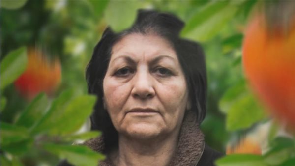 أفلام مهرجان الاسماعيلية